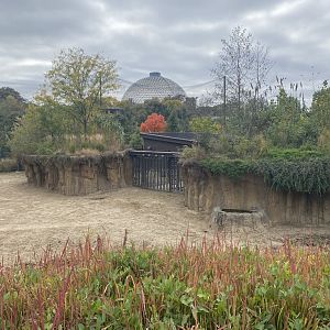 Asian Highlands - Indian Rhinoceros/Père David’s Deer Exhibit