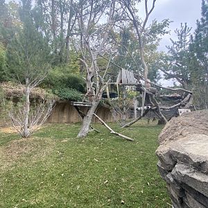 Asian Highlands - Red Panda/Reeve’s Muntjac Exhibit