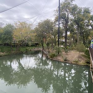 Simmon’s Aviary - Pond