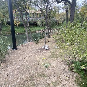 Simmon’s Aviary - Bar-Headed Geese, Scarlet Ibis