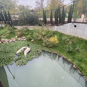 Simmon’s Aviary - Pond