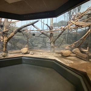 Expedition Madagascar - Ring-tailed Lemur/Common Brown Lemur/Mongoose Lemur/Radiated Tortoise Exhibit