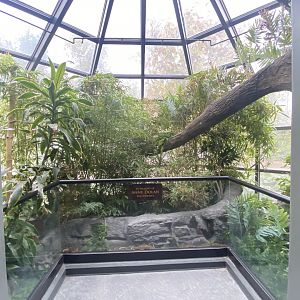 Expedition Madagascar -  Plant Atrium