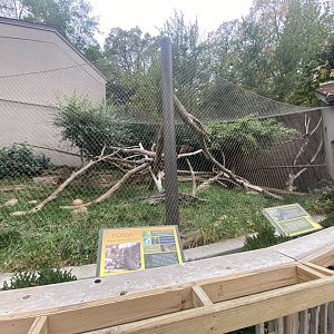 Expedition Madagascar - Fossa Exhibit