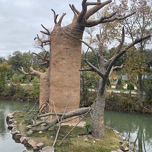 Expedition Madagascar - Outdoor Ring-Tailed Lemur Exhibit