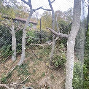 Expedition Madagascar - Black & White Ruffed Lemur/Crowned Lemur/Radiated Tortoise Exhibit