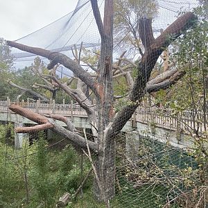 Expedition Madagascar - Walk-Through Lemur Exhibit