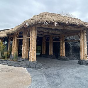 Hubbard Gorilla Valley - Entrance