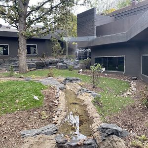 Hubbard Gorilla Valley - Middle Exhibit