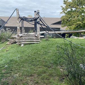 Hubbard Gorilla Valley - Western Lowland Gorilla Exhibit #1