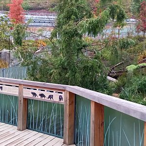 One of the outdoor-enclosures of the Tasmanian devils