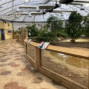 New - Giants of the Galapagos