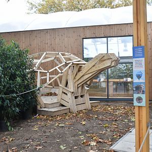 New - Giants of the Galapagos