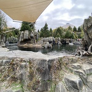 Owen’s Sea Lion Shores - California Sea Lion/Harbor Seal Exhibit