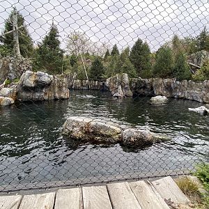 Owen’s Sea Lion Shores - California Sea Lion/Harbor Seal Exhibit