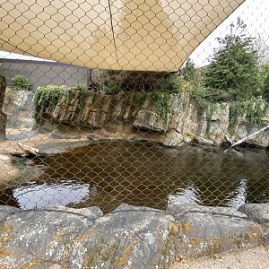 Owen’s Sea Lion Shores -Pupping Beach