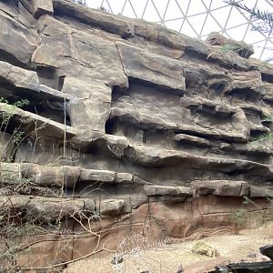 Desert Dome - Former Rock Hyrax Ledges