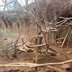Desert Dome - Australian Aviary