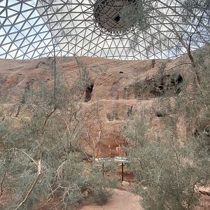 Desert Dome - Former Yellow-Footed Rocky Wallaby Exhibit