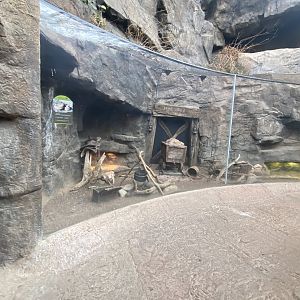 Desert Dome - Rattlesnake Canyon