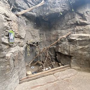 Desert Dome - Eastern Screech Owl Exhibit