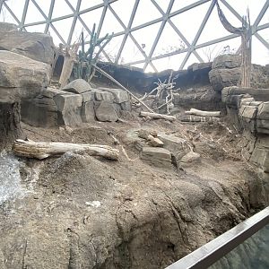 Desert Dome - Turkey Vulture Exhibit