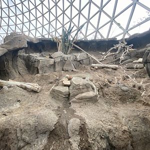 Desert Dome - Turkey Vulture Exhibit