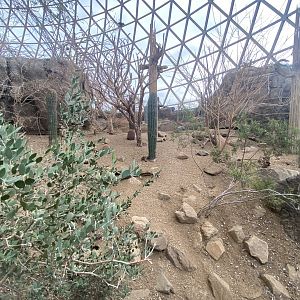 Desert Dome - Scenery