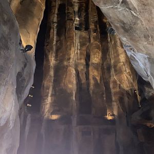 Kingdom of the Night - Bat Cave