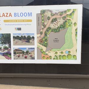 Plans for Desert Dome Plaza Renovations