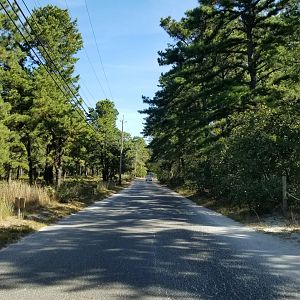 Popcorn Park - Drive in from the main road