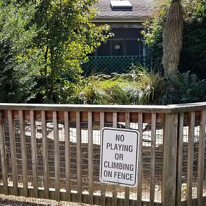 Popcorn Park - Empty, caiman? With dog kennels behind