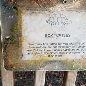 Popcorn Park - One of the few signs anywhere in the zoo