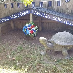 Popcorn Park - Law enforcement tortoise yard