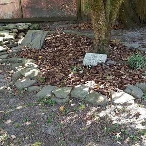 Popcorn Park - Law enforcement tortoise yard, grave?