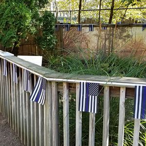 Popcorn Park - Law enforcement tortoise yard