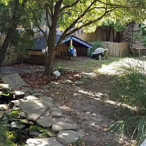 Popcorn Park - Law enforcement tortoise yard