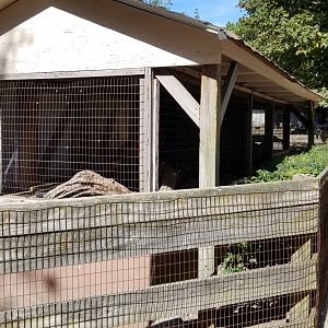 Popcorn Park - Looked empty, holds green iguana?