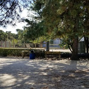 Popcorn Park - Cows and camelids, formerly elephant