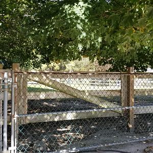 Popcorn Park - Belgian horse