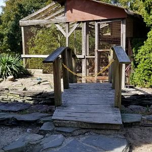 Popcorn Park - Bridge to no idea