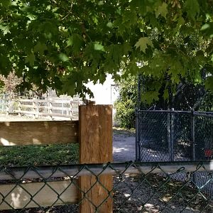 Popcorn Park - Keeper path behind primates