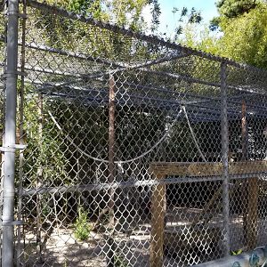 Popcorn Park - Patas monkeys