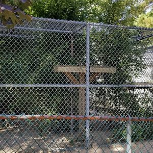 Popcorn Park - Monkey exhibit, not sure of species