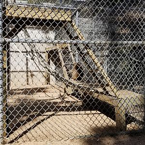 Popcorn Park - Japanese macaque