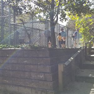 Popcorn Park - Back of primate building, more exhibits