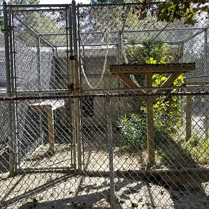 Popcorn Park - Didn't see this exhibit's animal