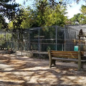 Popcorn Park - Front primate exhibits