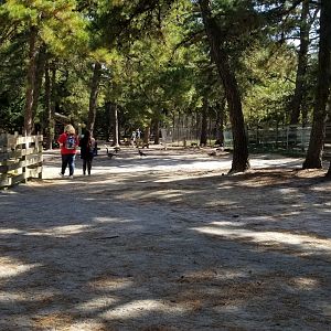 Popcorn Park - Walking area