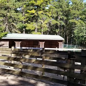 Popcorn Park - Donkey